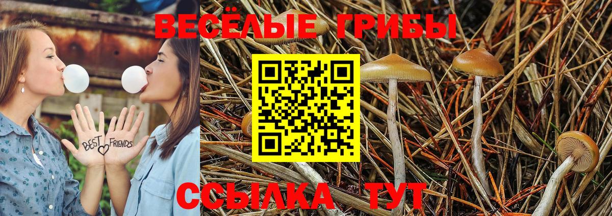 Галлюциногенные грибы Psilocybine cubensis  Галлюциногенные грибы Psilocybe  Вход с VPN  Воскресенск 