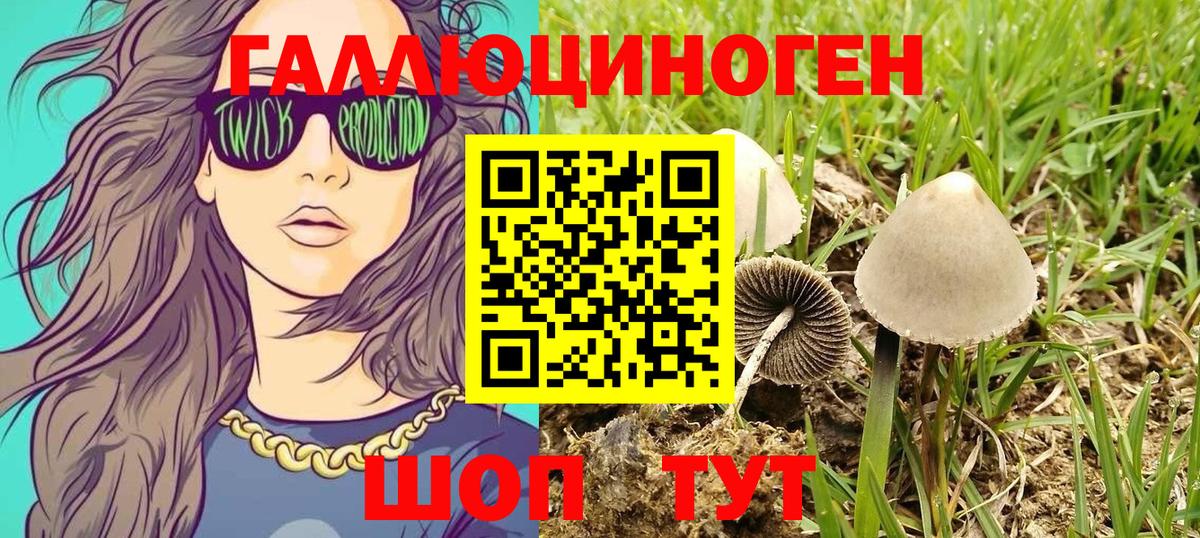 Галлюциногенные грибы прущие грибы Воскресенск